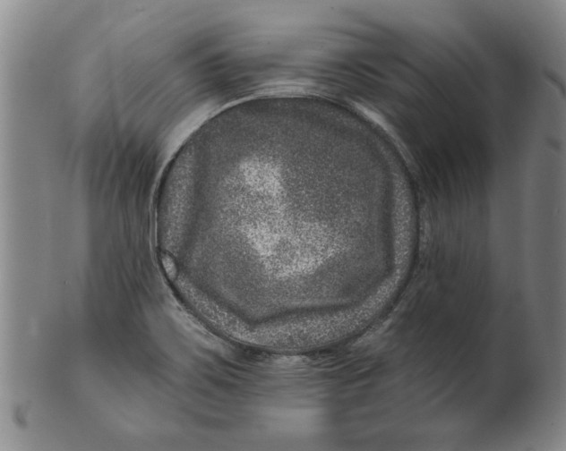 X0000100391467200806271346