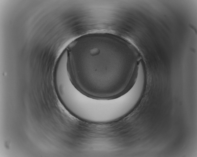 X0000100391468200806271346