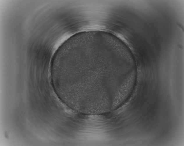 X0000100391469200806271346