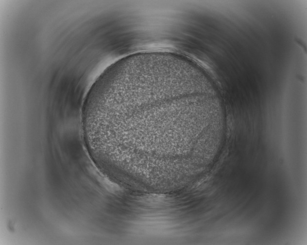 X0000100391470200806271346