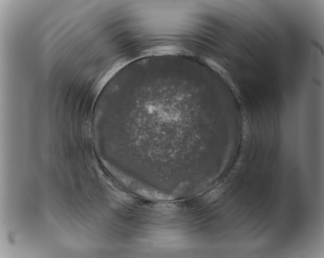 X0000100391473200806271346