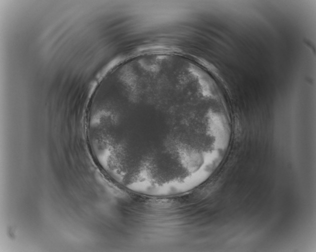 X0000100391474200806271346