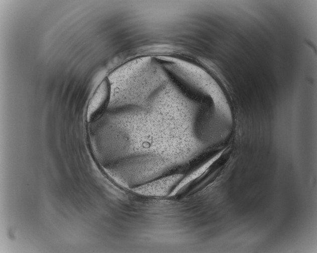 X0000100391475200806271346