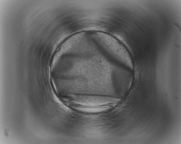 X0000100391476200806271346