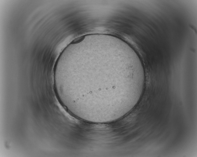 X0000100391479200806271346