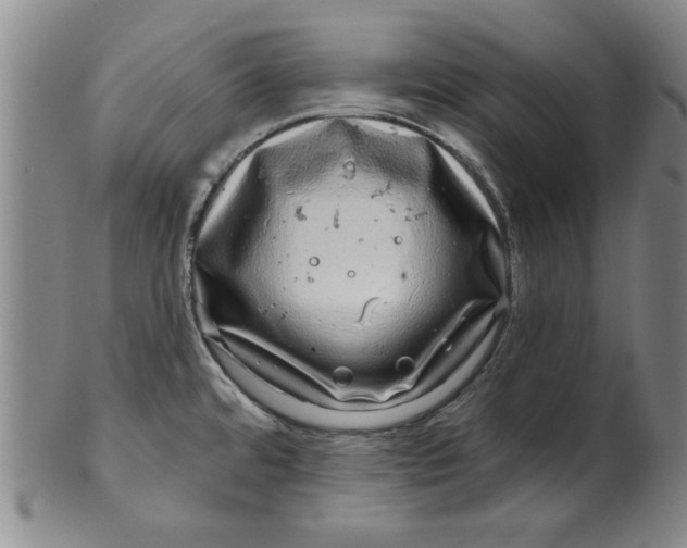 X0000100391480200806271346