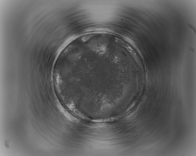 X0000100391482200806271346