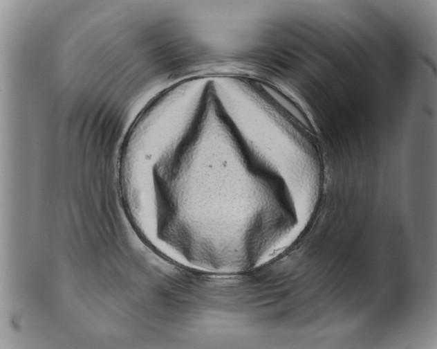 X0000100391483200806271346