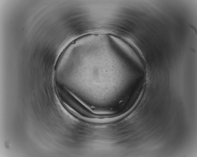 X0000100391484200806271346