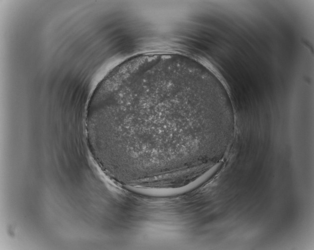 X0000100391485200806271346