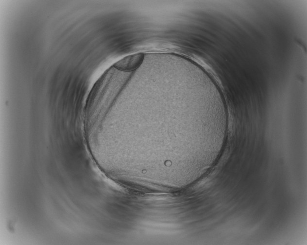 X0000100391486200806271346