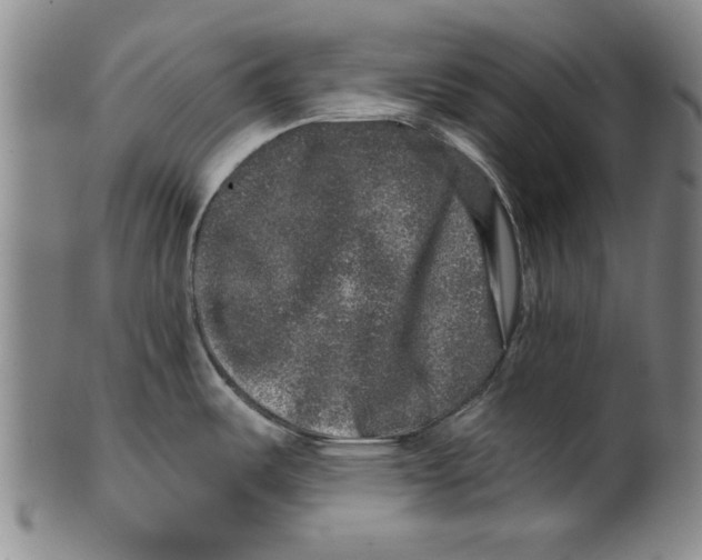 X0000100391487200806271346