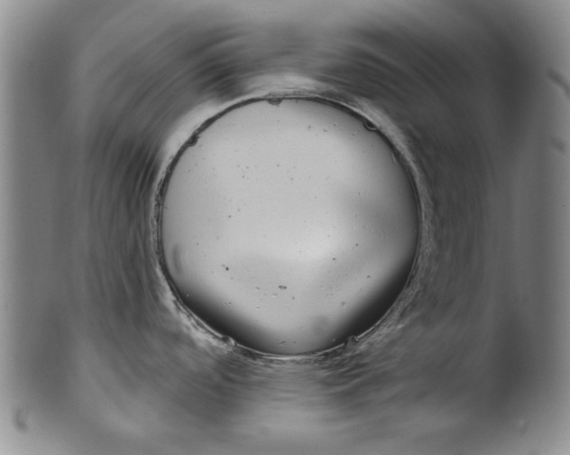 X0000100391488200806271346