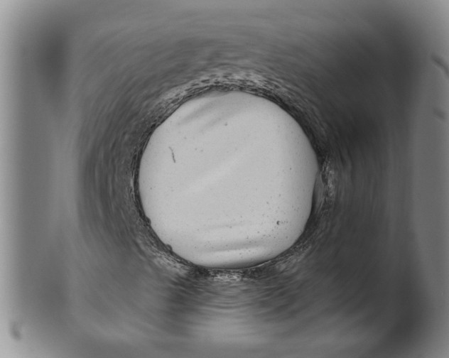 X0000100391489200806271345