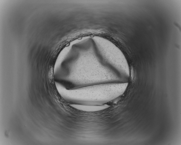 X0000100391492200806271345