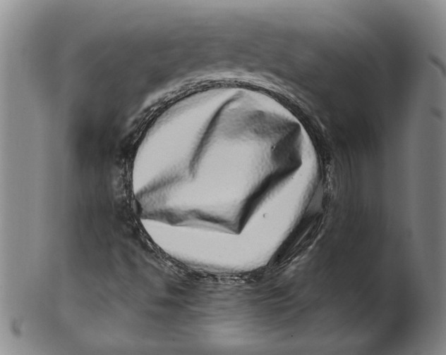 X0000100391494200806271345