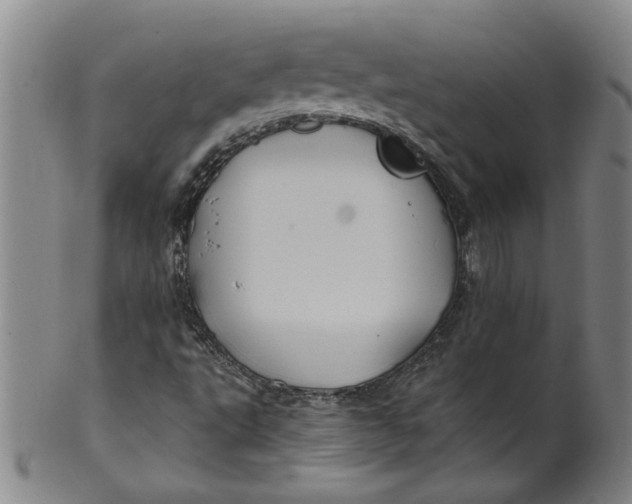 X0000100391495200806271345