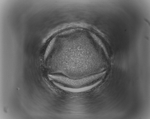 X0000100391496200806271345