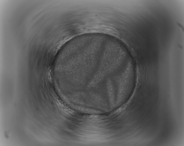 X0000100391497200806271345