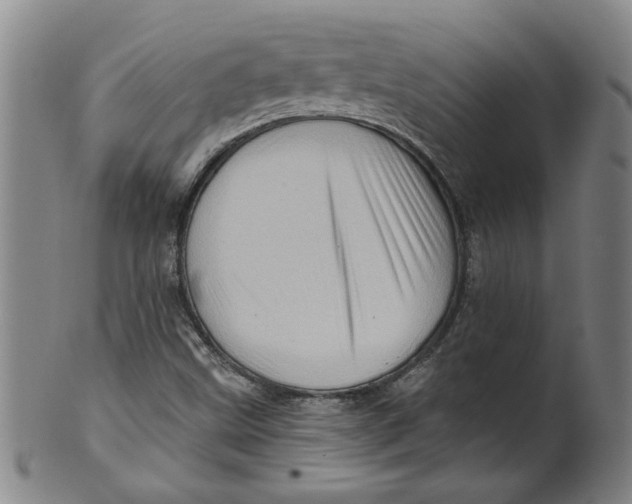 X0000100391499200806271345