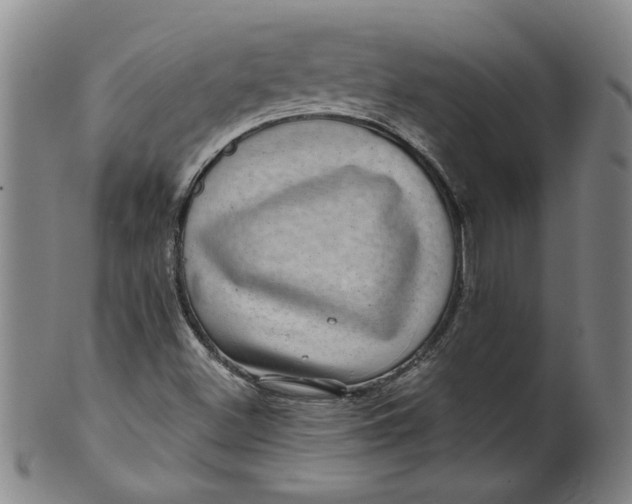 X0000100391500200806271345