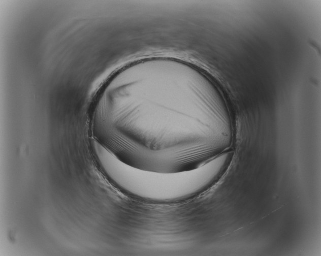 X0000100391502200806271345