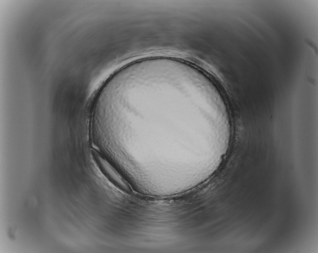 X0000100391504200806271345