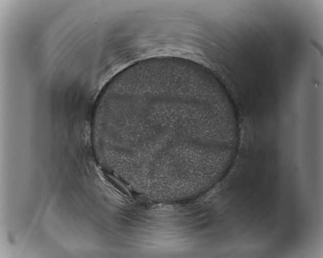 X0000100391505200806271345