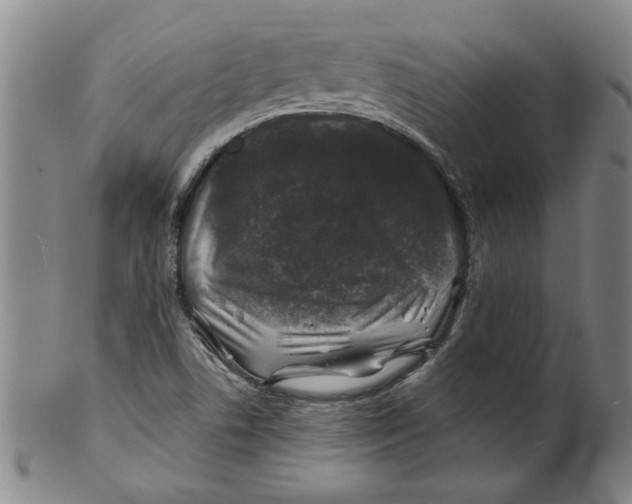 X0000100391506200806271345