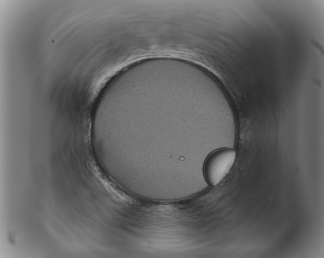 X0000100391507200806271345