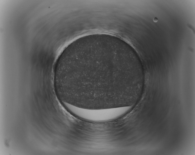 X0000100391508200806271345