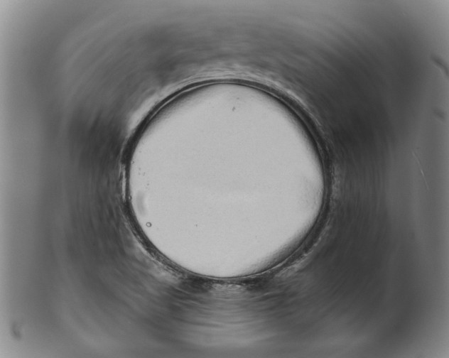 X0000100391509200806271345