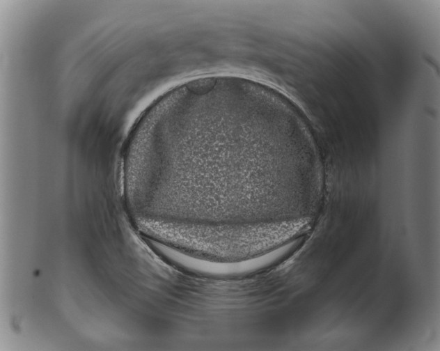 X0000100391510200806271345