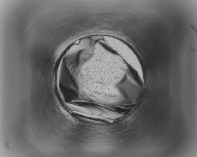 X0000100391511200806271345