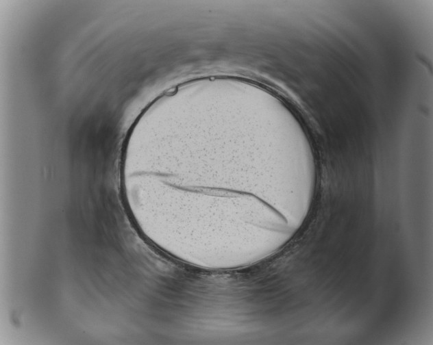 X0000100391512200806271345