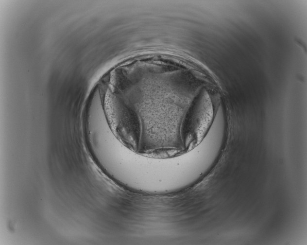 X0000100391514200806271345