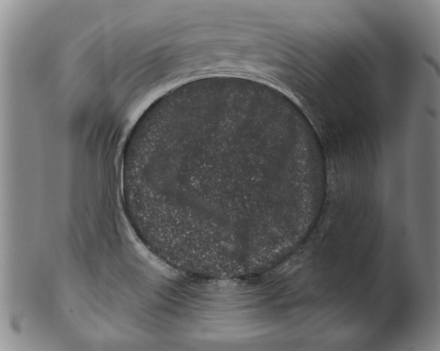 X0000100391515200806271345