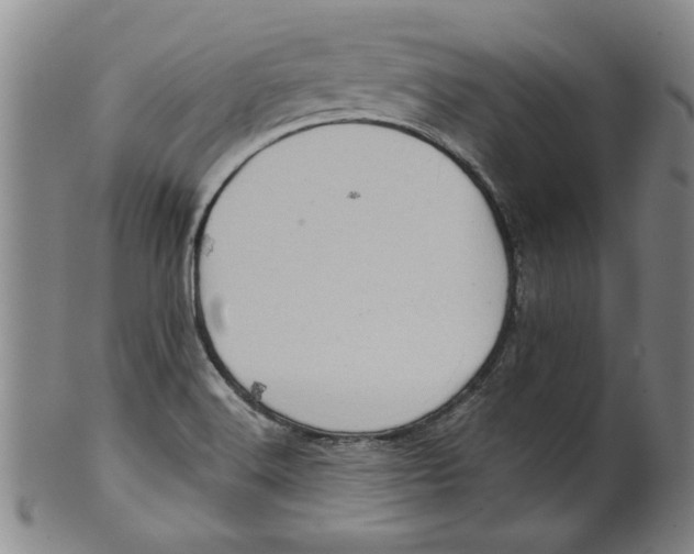 X0000100391516200806271345