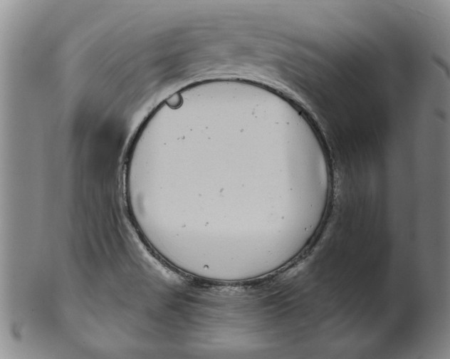 X0000100391517200806271345