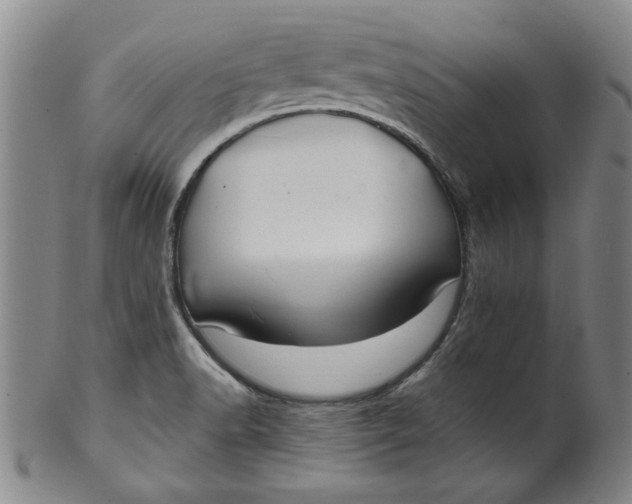 X0000100391518200806271345