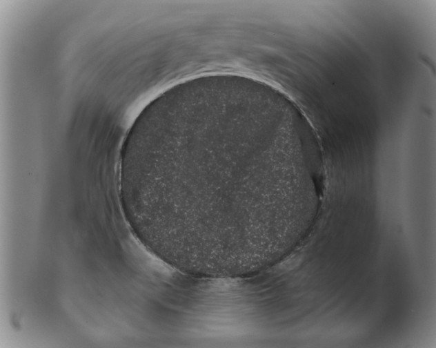 X0000100391519200806271345