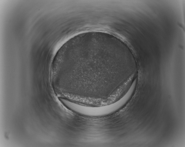 X0000100391520200806271345