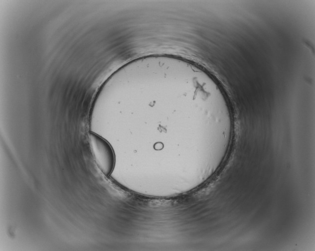 X0000100391521200806271345