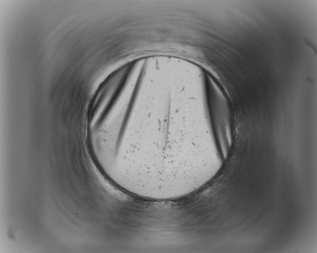 X0000100391523200806271345