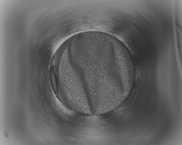 X0000100391524200806271345