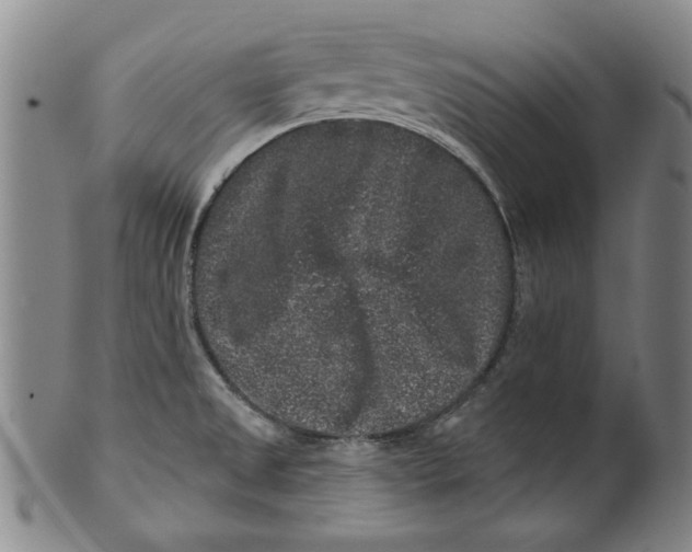 X0000100391525200806271345