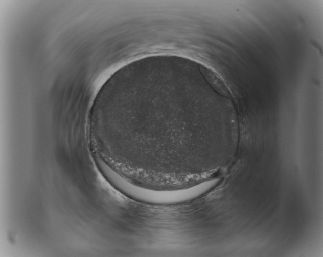 X0000100391527200806271345