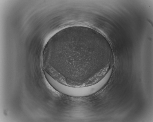 X0000100391528200806271345