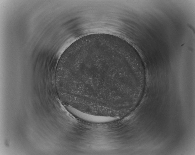 X0000100391529200806271345