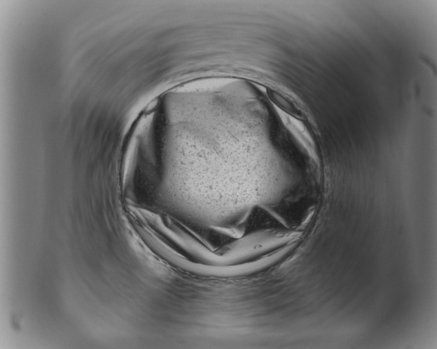 X0000100391530200806271346